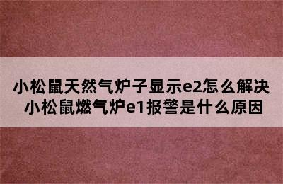 小松鼠天然气炉子显示e2怎么解决 小松鼠燃气炉e1报警是什么原因